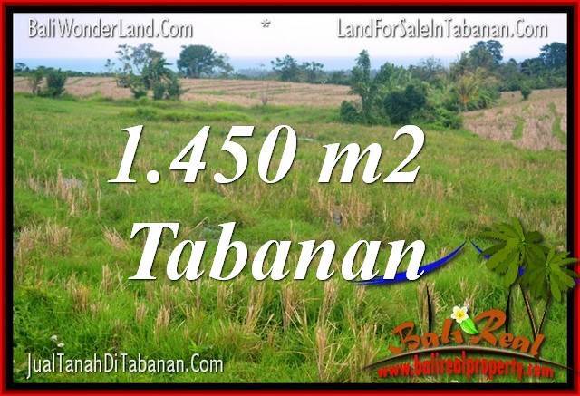 TANAH DIJUAL di TABANAN BALI 1,450 m2 di Tabanan Selemadeg