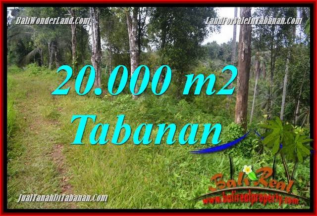 TANAH MURAH di TABANAN 20,000 m2 di Tabanan Selemadeg Timur